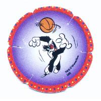 Plastic Ad.Chip