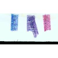Organza