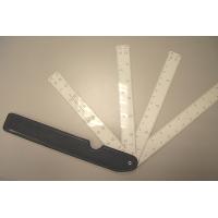 Plastic Ruler