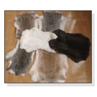 dressed Rabbit Skin