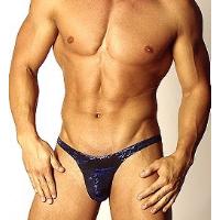 Brief