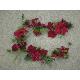 GARLAND