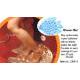 Shower Mat, C/KF-3