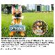 Welcome Dog with Sensor