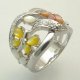 Ring, SR1699