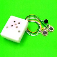 Recording Module Box (Use for stuff toys, doll)錄放音發聲盒