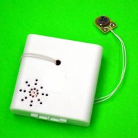 Voice Module Box (Use AA x 2 battery), Custom sound are welcome語音發聲盒(AAx2電池)