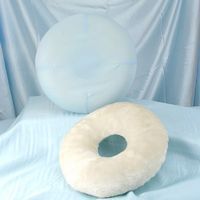 Donut Seat Cushion