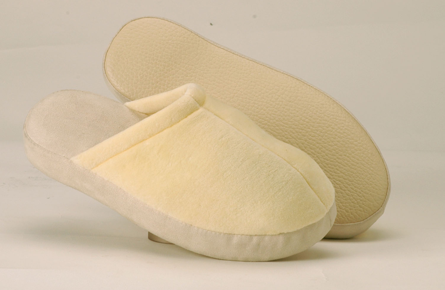 Slipper