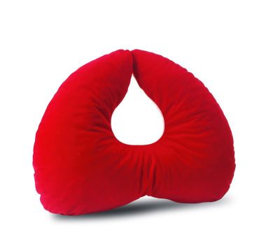 All In One Cushion