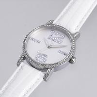 Stainless Steel Watch