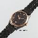 Titanium Watches