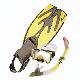 Mask & Snorkel & Fins, 64425