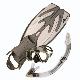 Mask & Snorkel & Fins, 67415