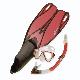 Mask & Snorkel & Fins, 67416
