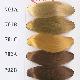 Polypropylene Fiber Hair