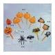 Cake Decoration - Halloween