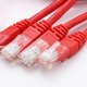 UL 2835 24AWG CM with 8p8c Telephone Plug