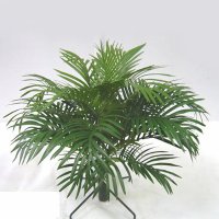 25 inches PARLOR PALM BUSH