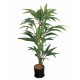 Sell 4' COCONUT PALM TREE