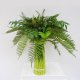 Sell 24 inches RUSCUS MIXED STACK