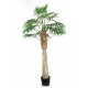 9' FAN PALM TREE, 459J-09-3P310BK