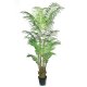 8' ARECA PALM TREE, 521GST-08-3P73BK
