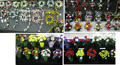Spring Section (BUSH#OTHERS-A)