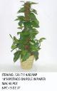 18 inchesH POTHOS ON POLE IN PAPER MACHE POT, 126-T114/83/MP