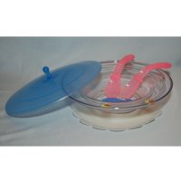Feeding Plate with non-slip base