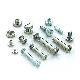Machine Screws