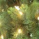 X'MAS LIGHT TREE