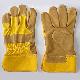 Micro Fiber Gloves, KLG-13