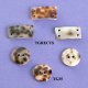Tiger Shell Buttons