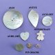 Agoya Shell Buttons