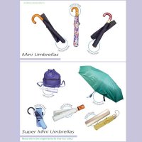 Mini Umbrella