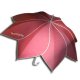 Special Umbrella