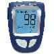 Advanced Blood Glucose Monitoring System