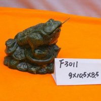 MOON FROG