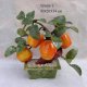 Sell APPLE TREE