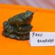 MOON FROG