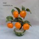 MANDARIN ORANGE