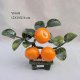 MANDARIN TREE