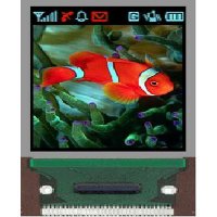 LCD & LCM
