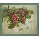 Framed Oil Paintings