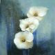 Oil Paintings