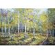 Oil Paintings