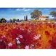 Oil Paintings