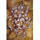 Oil Paintings