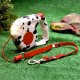 Retractable Dog Leash & Flashlight